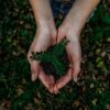 The Evolution of Environmental Stewardship in Business